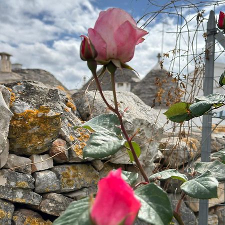 Trulli Resort Aia Piccola Alberobello Zewnętrze zdjęcie