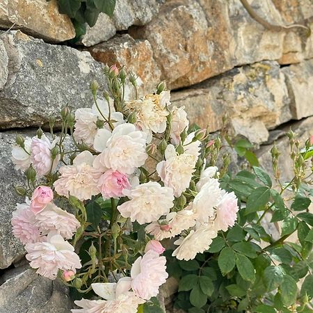 Trulli Resort Aia Piccola Alberobello Zewnętrze zdjęcie