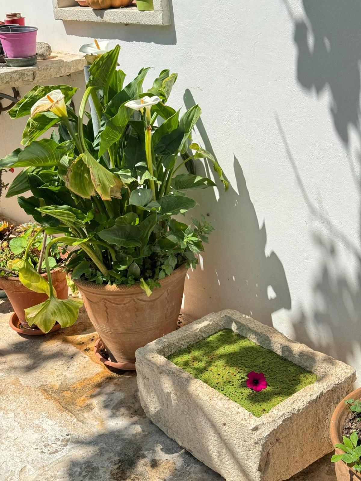 Trulli Resort Aia Piccola Alberobello Zewnętrze zdjęcie