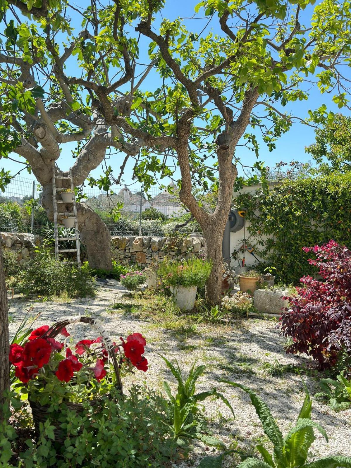 Trulli Resort Aia Piccola Alberobello Zewnętrze zdjęcie