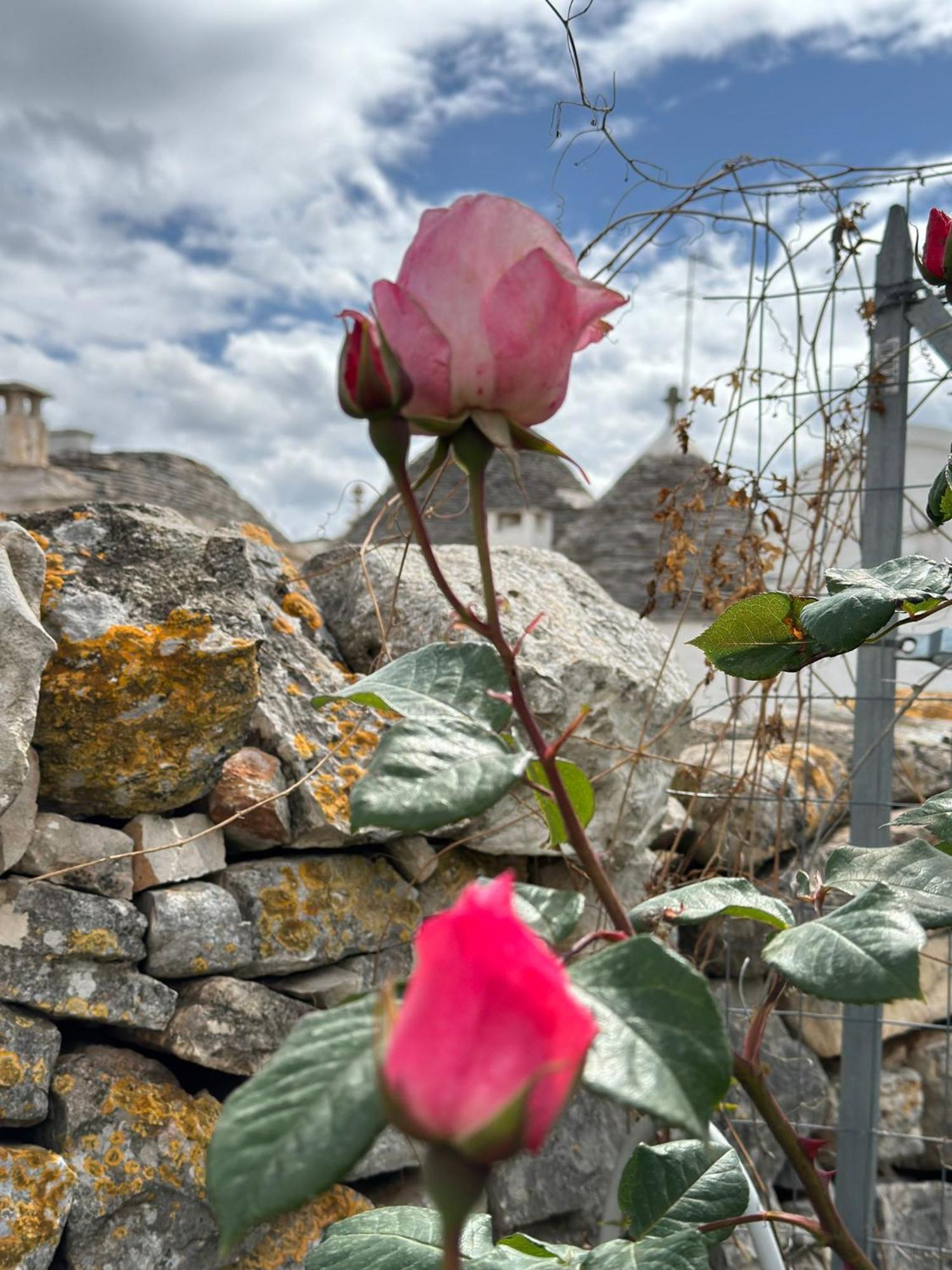 Trulli Resort Aia Piccola Alberobello Zewnętrze zdjęcie