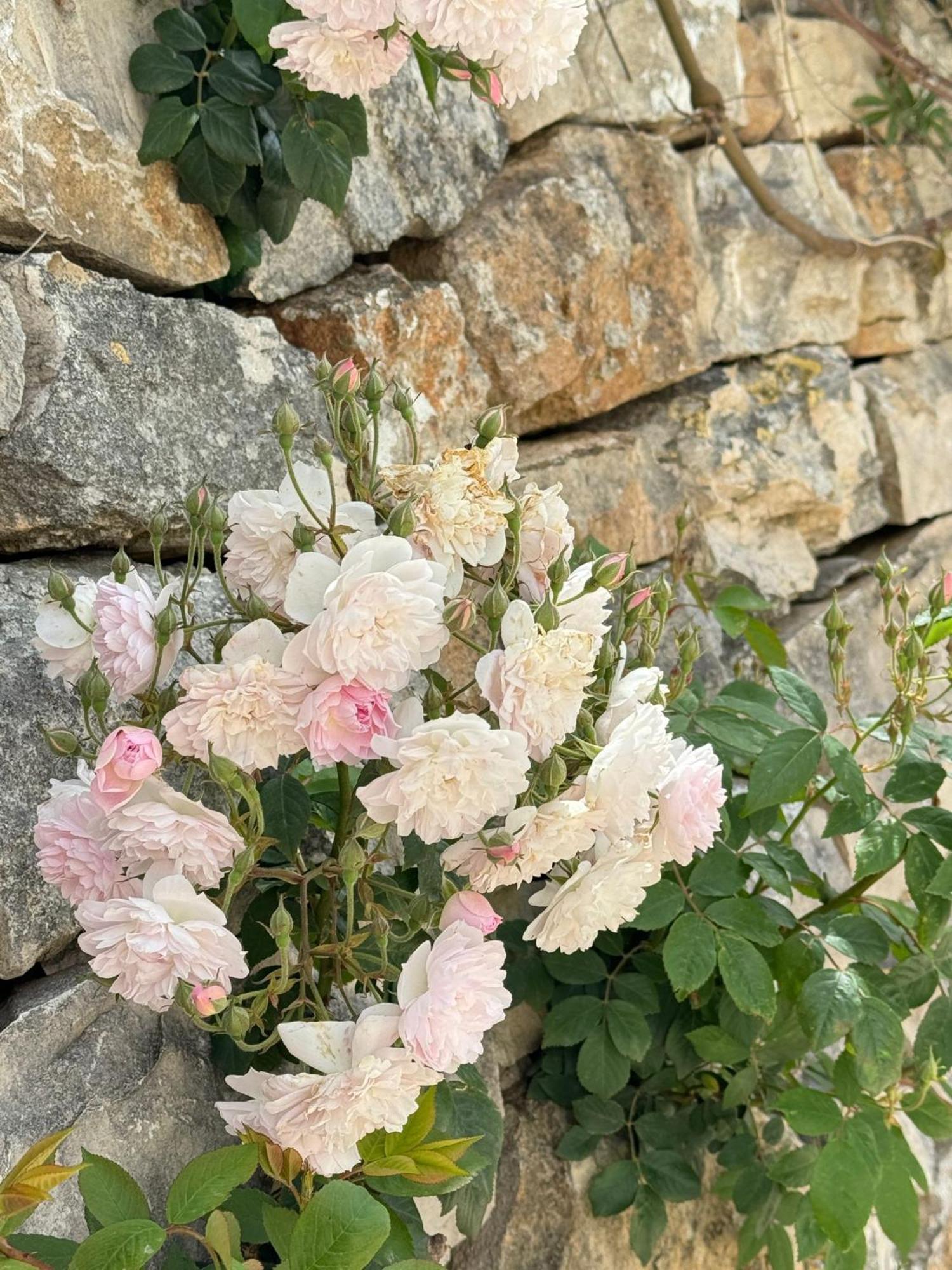 Trulli Resort Aia Piccola Alberobello Zewnętrze zdjęcie